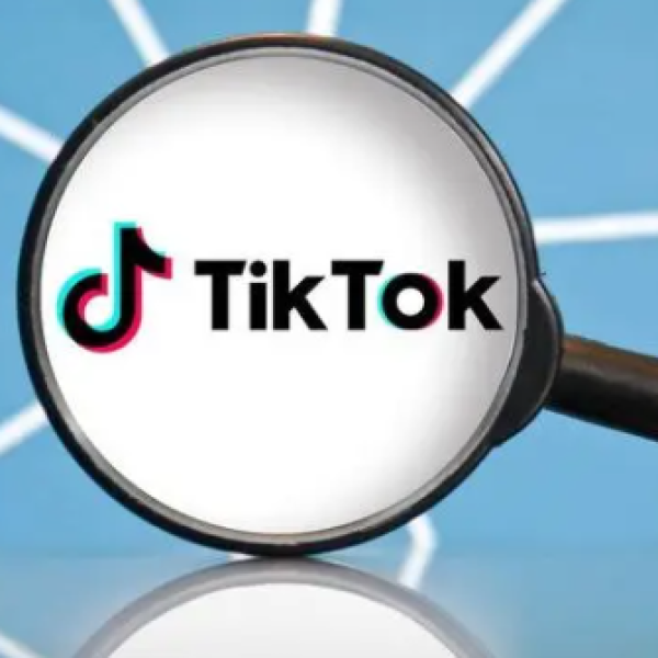 tiktok出海营销品牌成功变现的案例